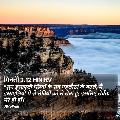गिनती 3:12 HINIRV Bible Verse Image