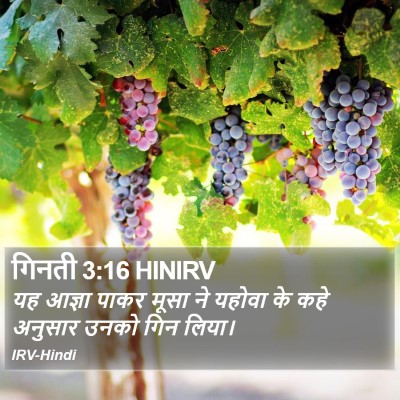 गिनती 3:16 HINIRV Bible Verse Image