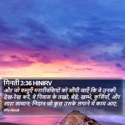 गिनती 3:36 HINIRV Bible Verse Image