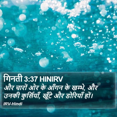 गिनती 3:37 HINIRV Bible Verse Image