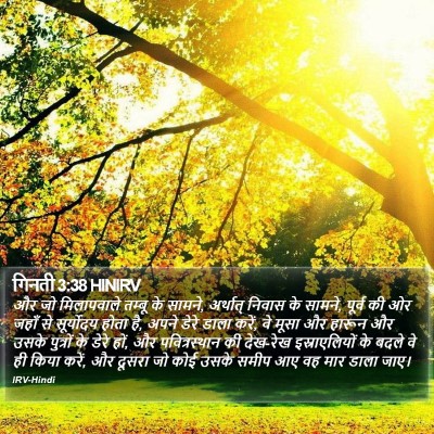 गिनती 3:38 HINIRV Bible Verse Image