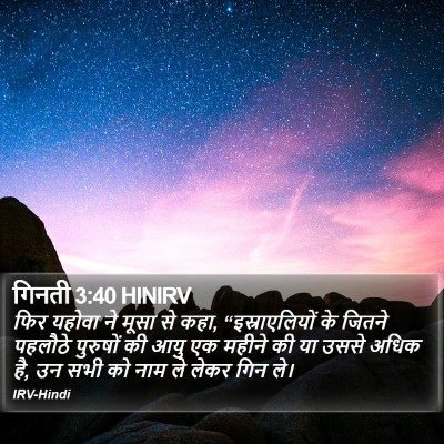 गिनती 3:40 HINIRV Bible Verse Image