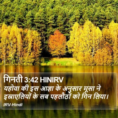 गिनती 3:42 HINIRV Bible Verse Image