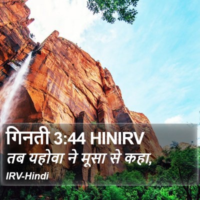 गिनती 3:44 HINIRV Bible Verse Image