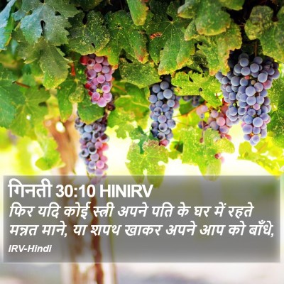 गिनती 30:10 HINIRV Bible Verse Image