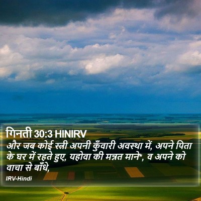 गिनती 30:3 HINIRV Bible Verse Image