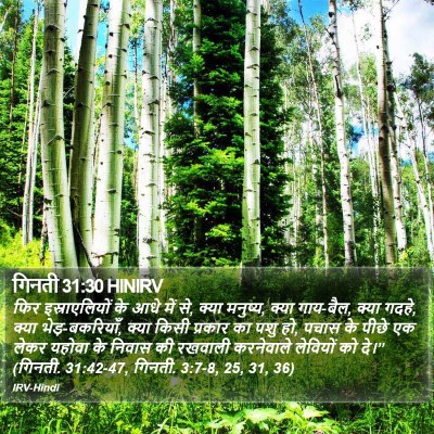 गिनती 31:30 HINIRV Bible Verse Image