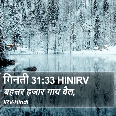 गिनती 31:33 HINIRV Bible Verse Image