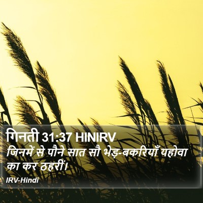 गिनती 31:37 HINIRV Bible Verse Image