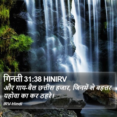 गिनती 31:38 HINIRV Bible Verse Image