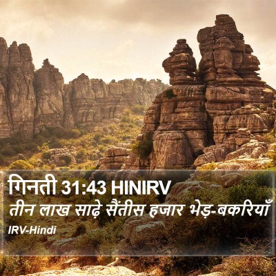 गिनती 31:43 HINIRV Bible Verse Image