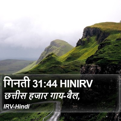 गिनती 31:44 HINIRV Bible Verse Image