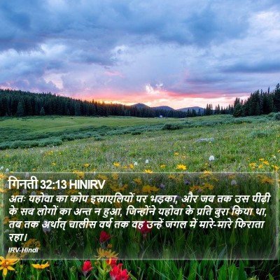 गिनती 32:13 HINIRV Bible Verse Image
