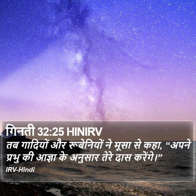 गिनती 32:25 HINIRV Bible Verse Image