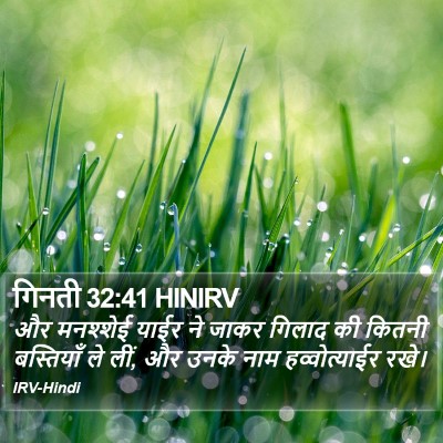गिनती 32:41 HINIRV Bible Verse Image