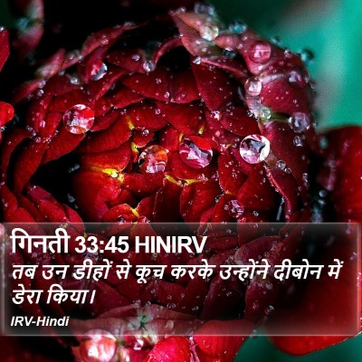 गिनती 33:45 HINIRV Bible Verse Image