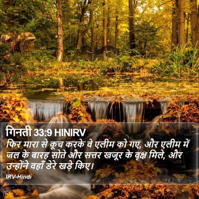 गिनती 33:9 HINIRV Bible Verse Image