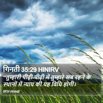 गिनती 35:29 HINIRV Bible Verse Image