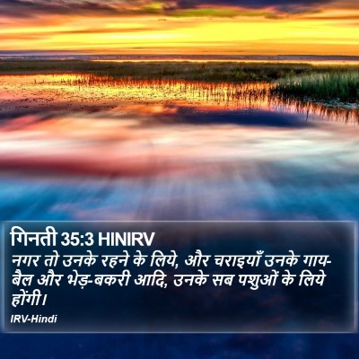 गिनती 35:3 HINIRV Bible Verse Image