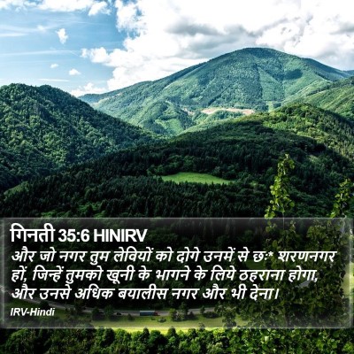 गिनती 35:6 HINIRV Bible Verse Image