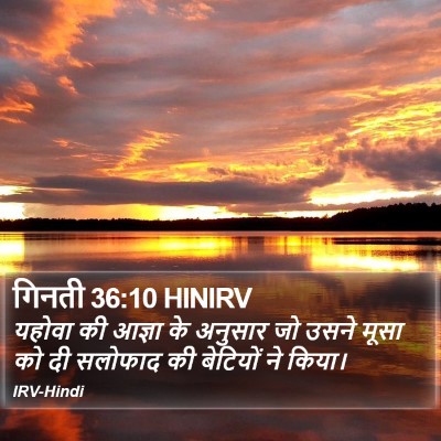 गिनती 36:10 HINIRV Bible Verse Image