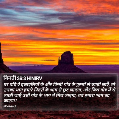 गिनती 36:3 HINIRV Bible Verse Image