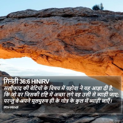 गिनती 36:6 HINIRV Bible Verse Image