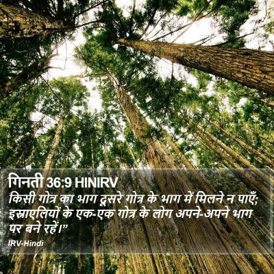 गिनती 36:9 HINIRV Bible Verse Image