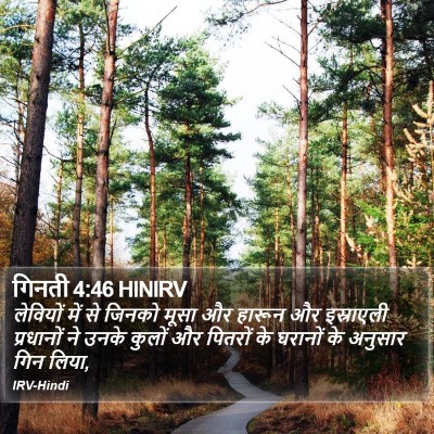 गिनती 4:46 HINIRV Bible Verse Image