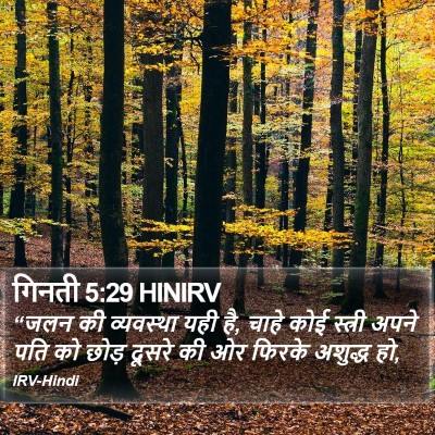 गिनती 5:29 HINIRV Bible Verse Image