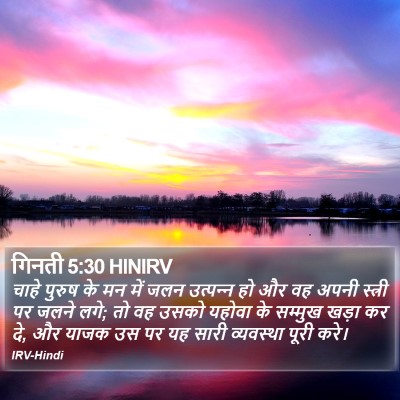 गिनती 5:30 HINIRV Bible Verse Image