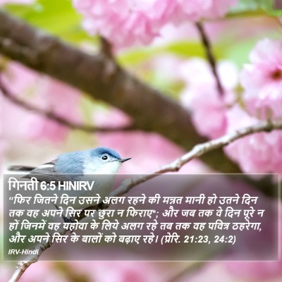 गिनती 6:5 HINIRV Bible Verse Image