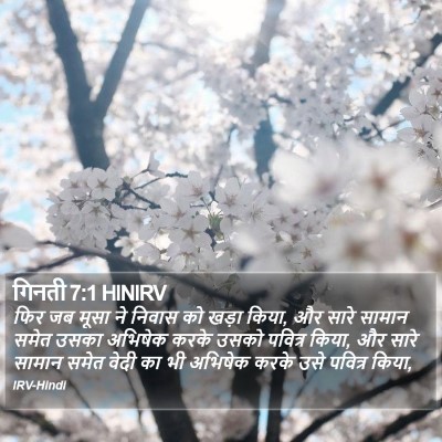 गिनती 7:1 HINIRV Bible Verse Image