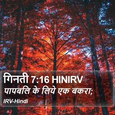 गिनती 7:16 HINIRV Bible Verse Image