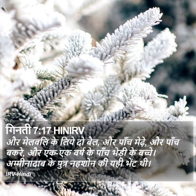 गिनती 7:17 HINIRV Bible Verse Image