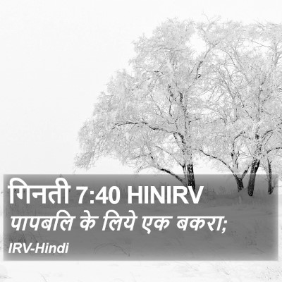गिनती 7:40 HINIRV Bible Verse Image