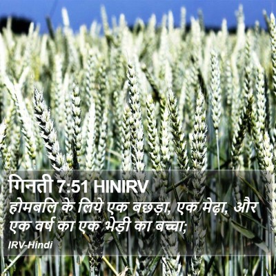 गिनती 7:51 HINIRV Bible Verse Image