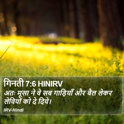 गिनती 7:6 HINIRV Bible Verse Image
