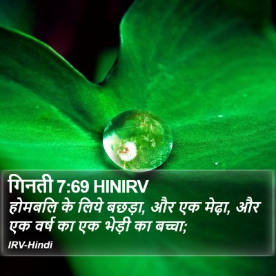 गिनती 7:69 HINIRV Bible Verse Image