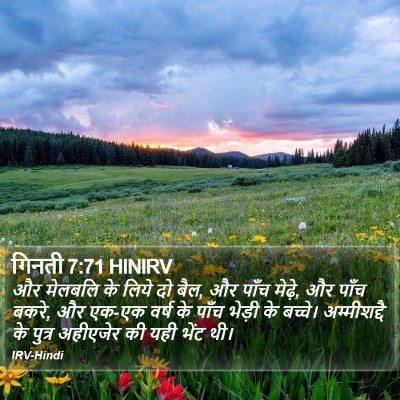 गिनती 7:71 HINIRV Bible Verse Image