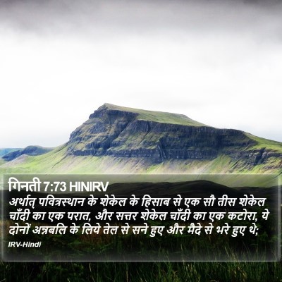 गिनती 7:73 HINIRV Bible Verse Image