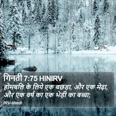 गिनती 7:75 HINIRV Bible Verse Image