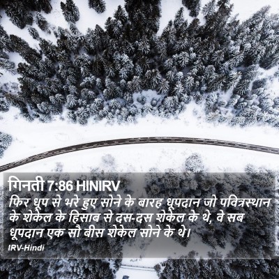 गिनती 7:86 HINIRV Bible Verse Image