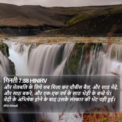 गिनती 7:88 HINIRV Bible Verse Image
