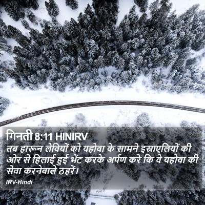 गिनती 8:11 HINIRV Bible Verse Image