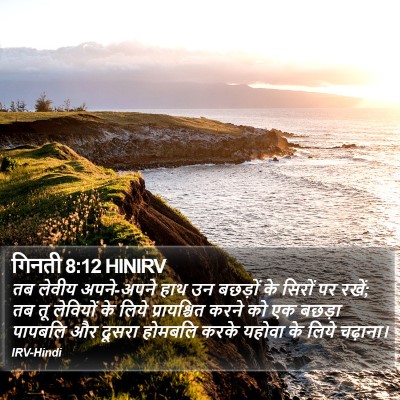 गिनती 8:12 HINIRV Bible Verse Image