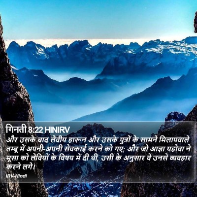 गिनती 8:22 HINIRV Bible Verse Image