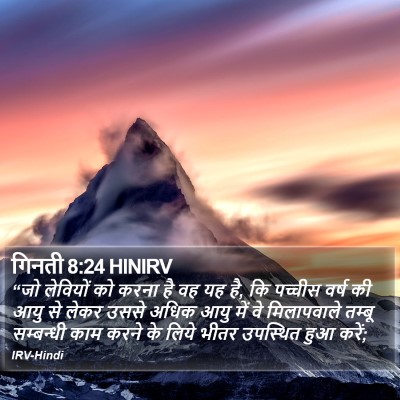 गिनती 8:24 HINIRV Bible Verse Image