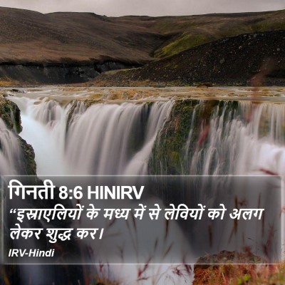 गिनती 8:6 HINIRV Bible Verse Image