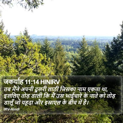 जकर्याह 11:14 HINIRV Bible Verse Image